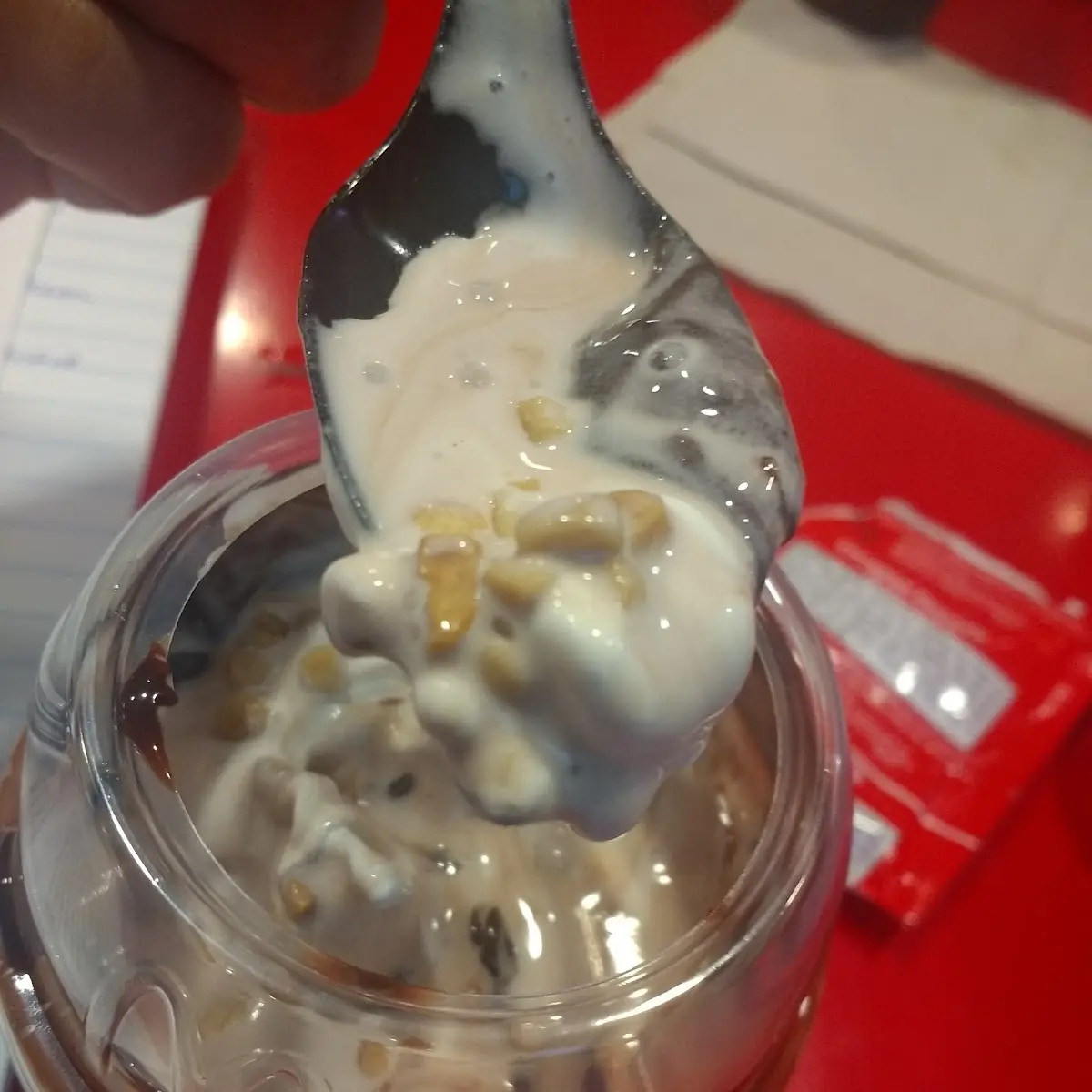 Hot Fudge Sundae with Nuts