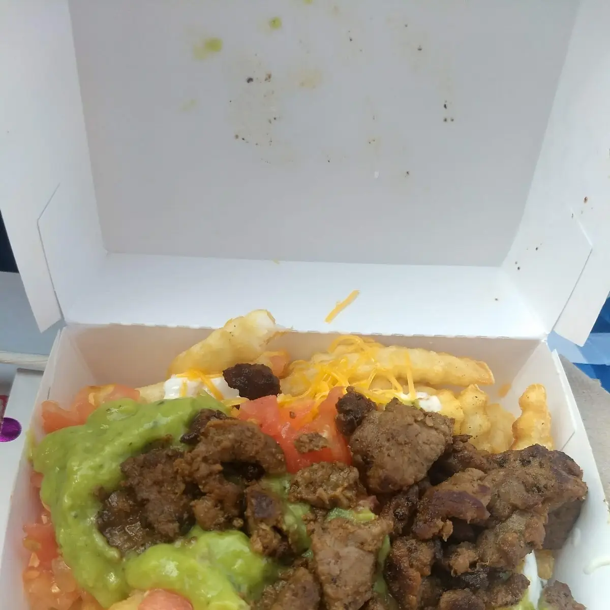 Carne Asada Fries