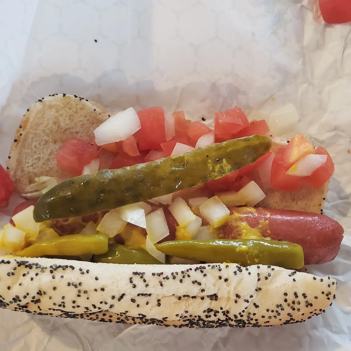 Chicago Dog
