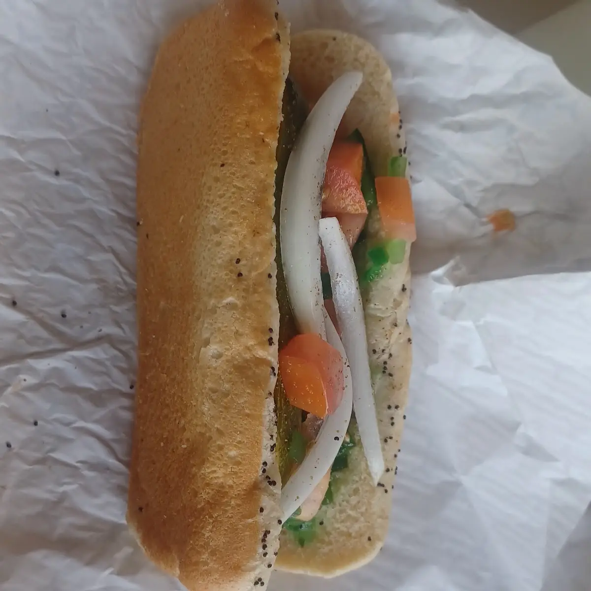 Chicago Style Hotdog
