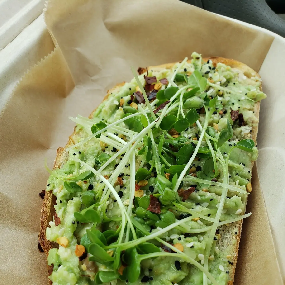Everything Avocado
