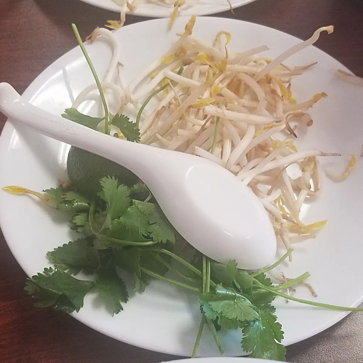 Bean Sprouts and Cilantro