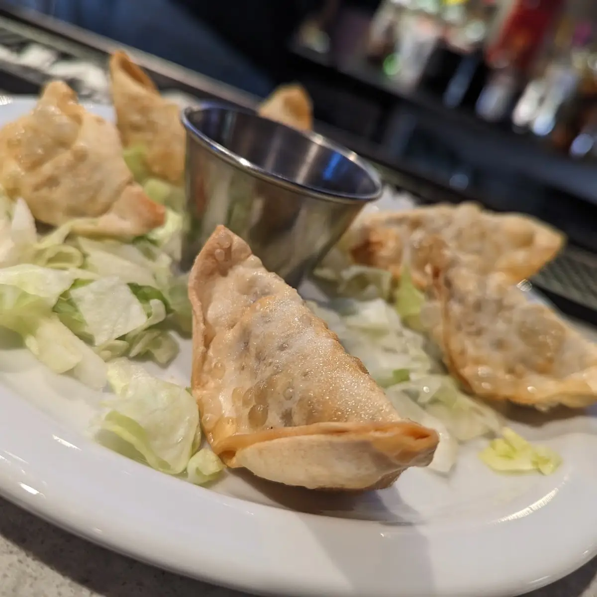 Chicken Dumplings