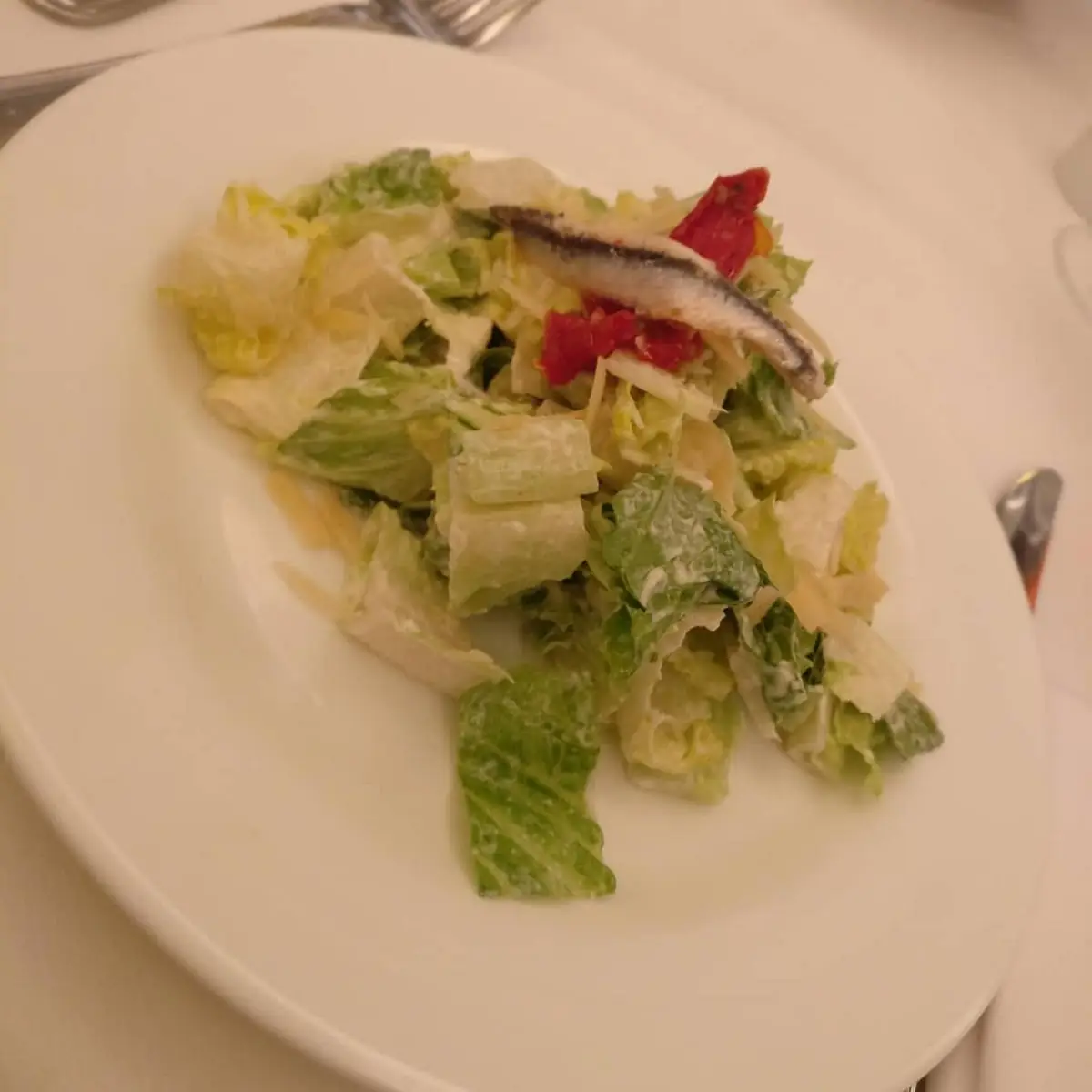 Cesar Salad
