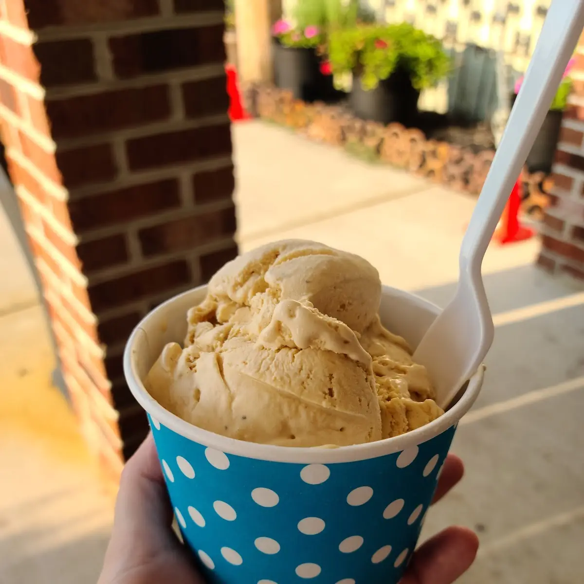 Old Bay Ice Cream