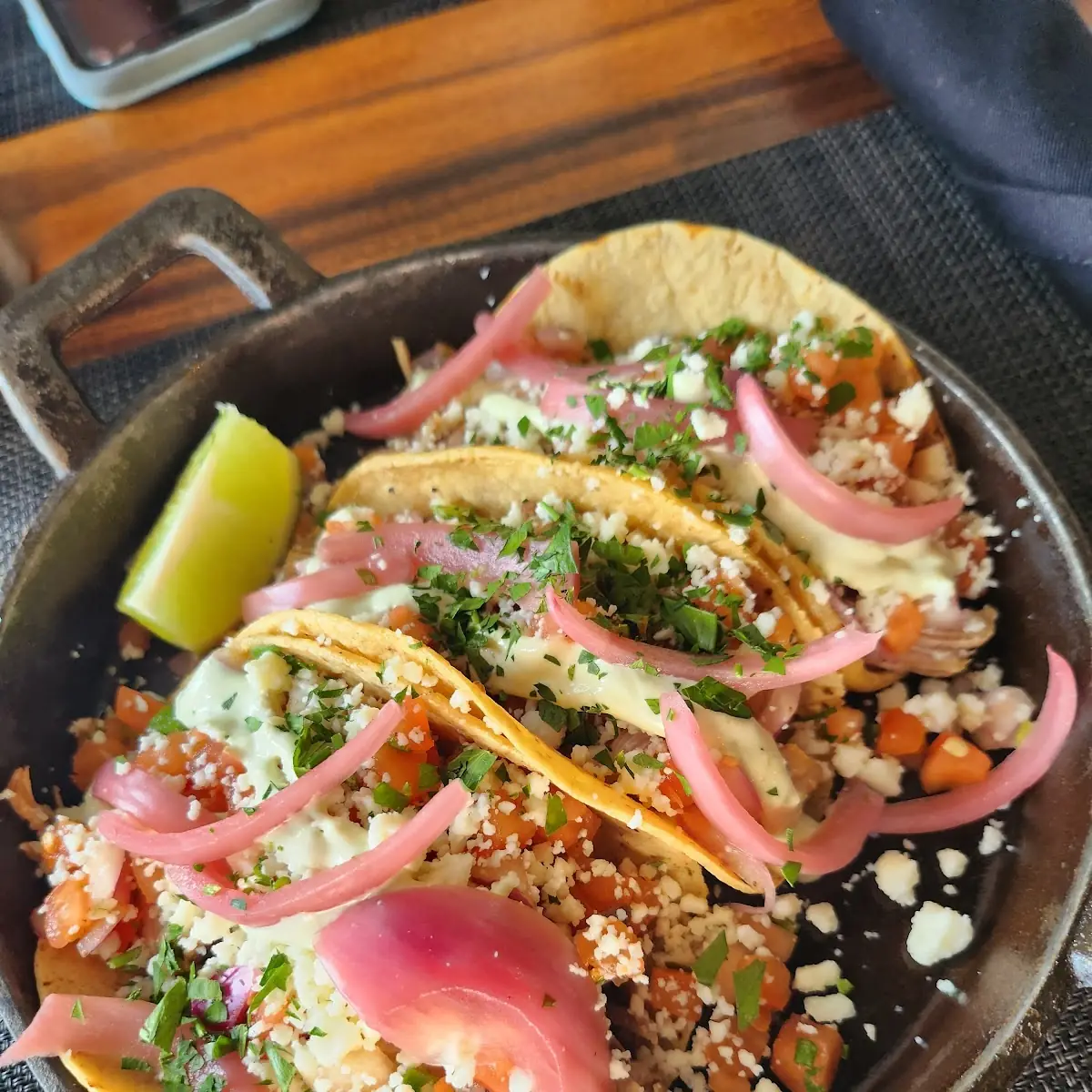 Carnitas Tacos with Corn Tortillas