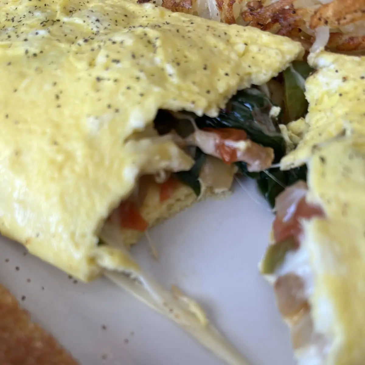 Veggie Omelette
