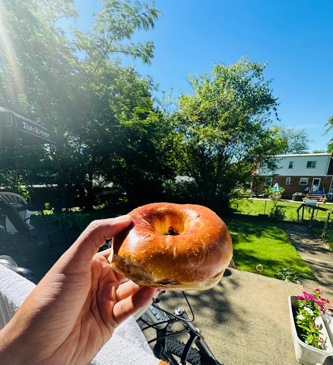 Plain Bagel