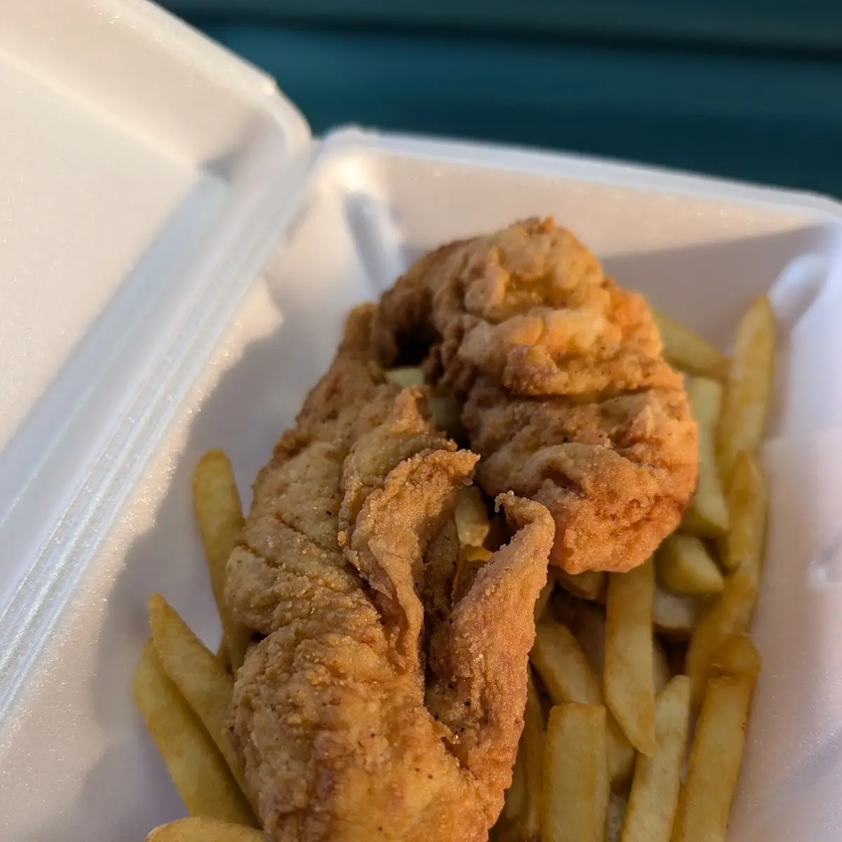 2 Chicken Tenders