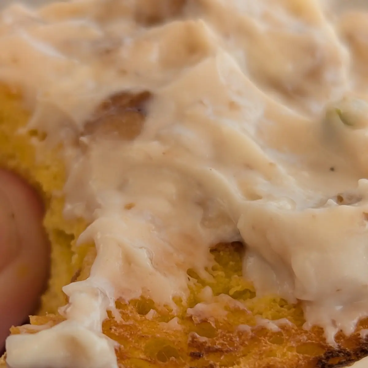 Toasted Plain Bagel Honey Walnut Schmear