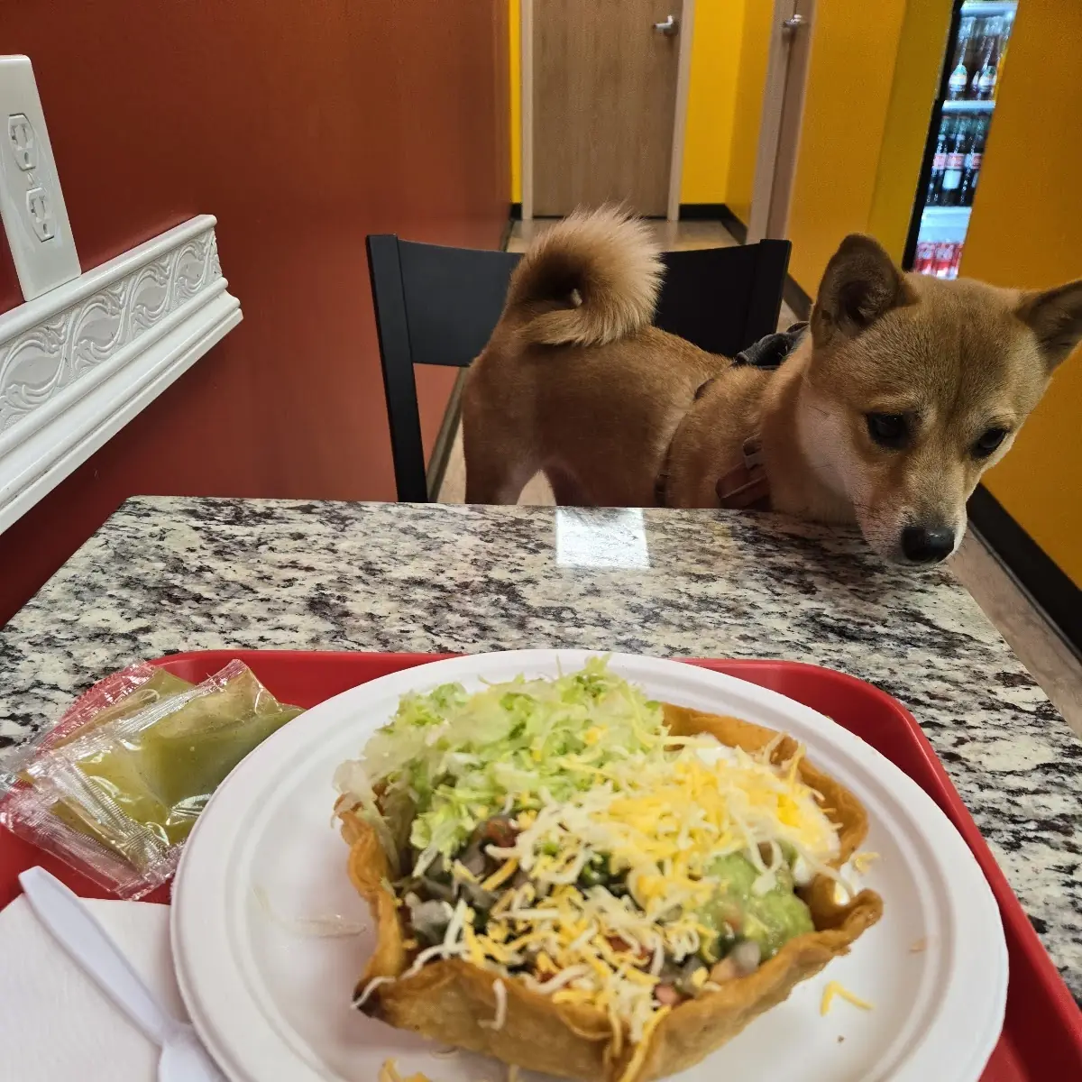 Pollo Asado Taco