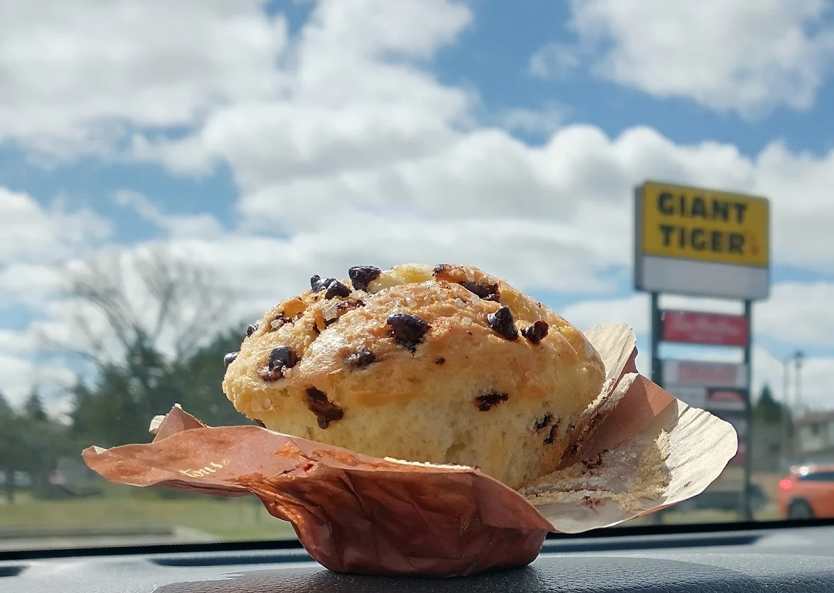 Chocolate Chip Muffins, Tim Hortons