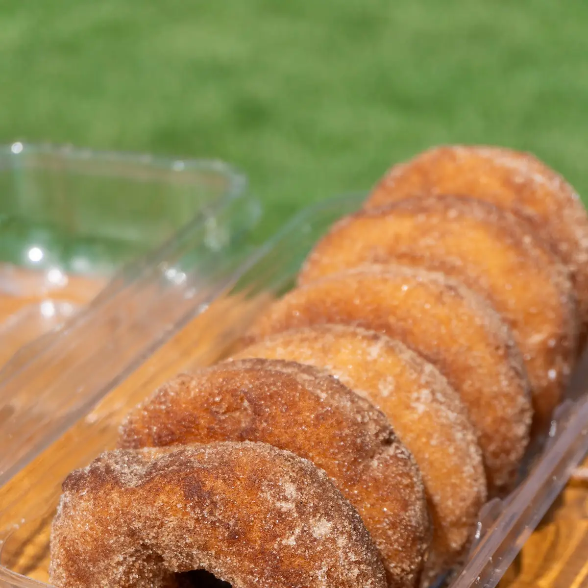 Half Dozen Donuts