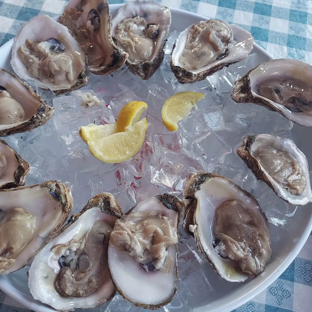 Oysters on the Half Shell