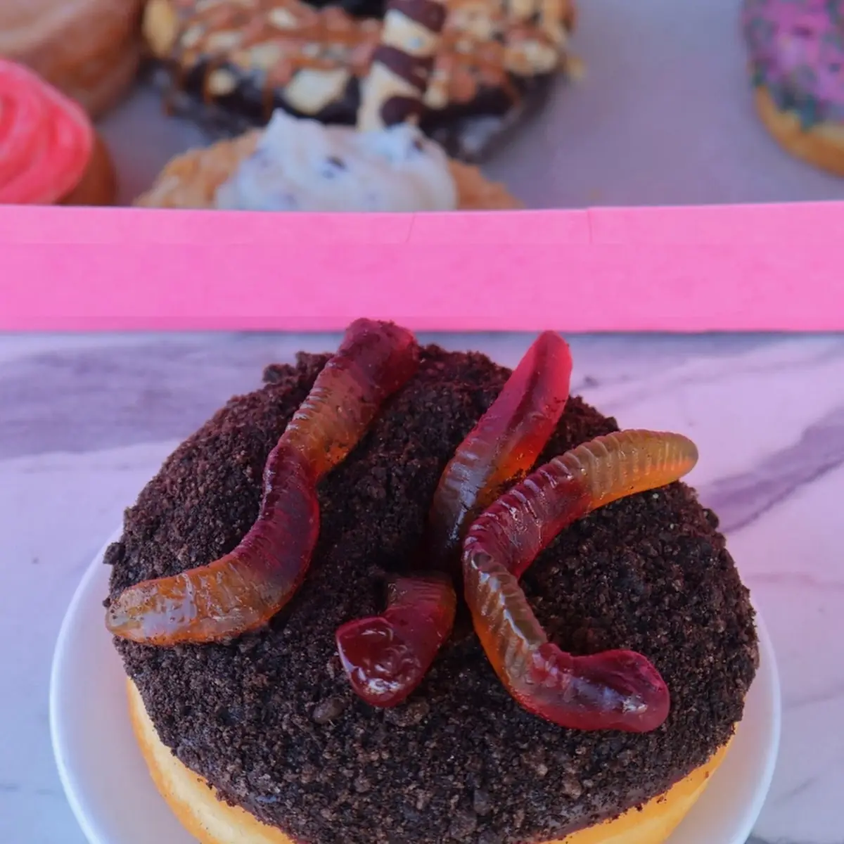 Peanut Butter Dirt Cake Cronut Ends 5 24