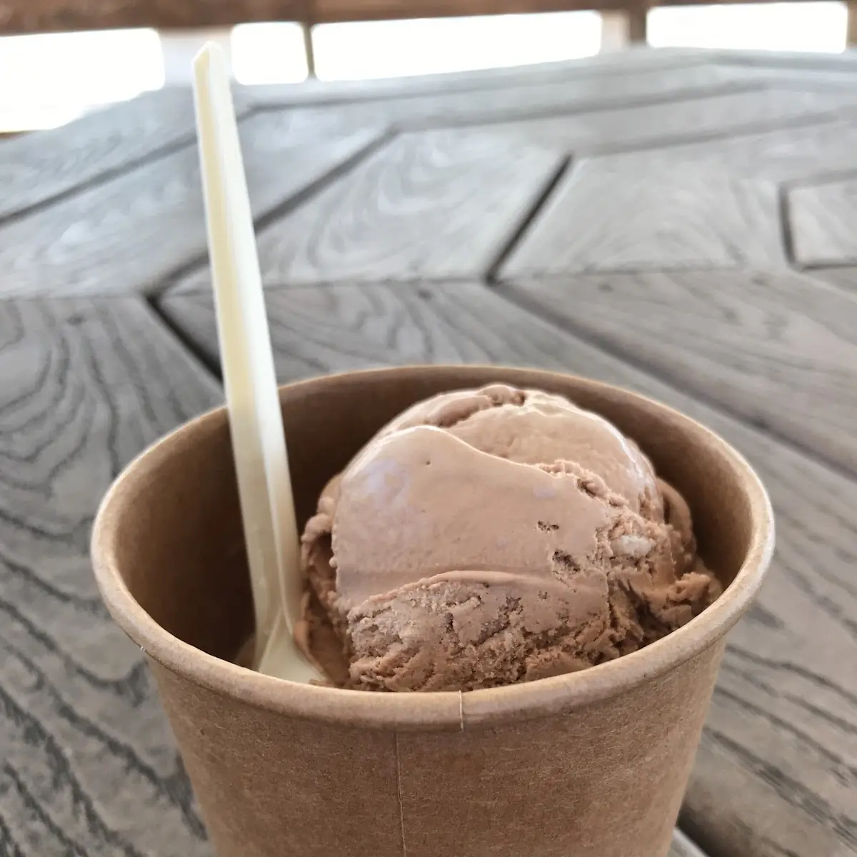 Chocolate Ice Cream