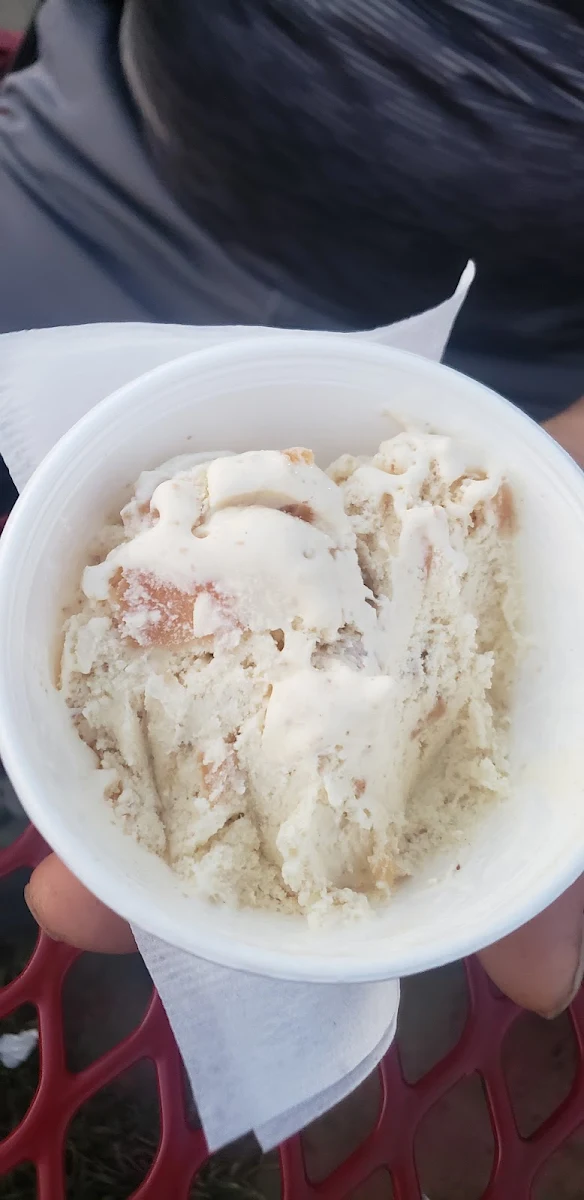 Apple Pie Ice Cream