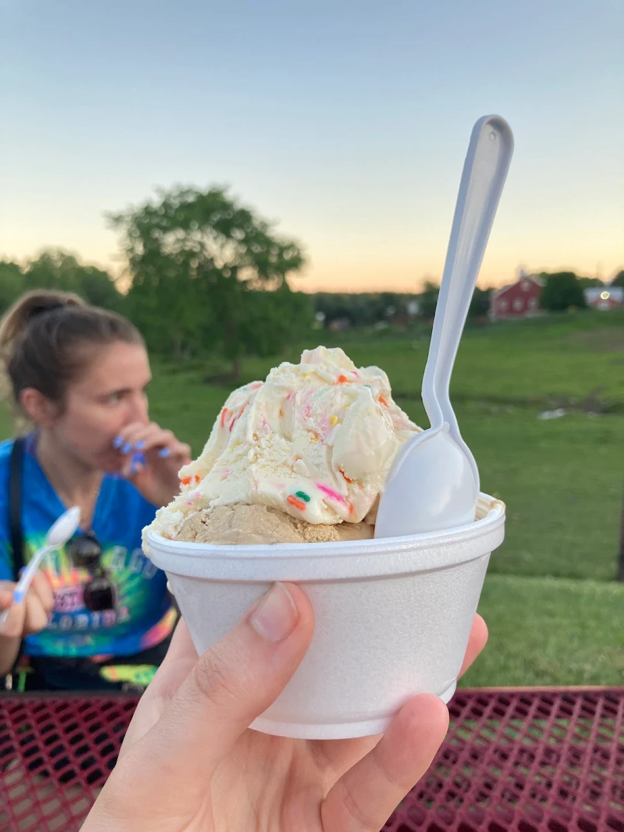 Cake Batter