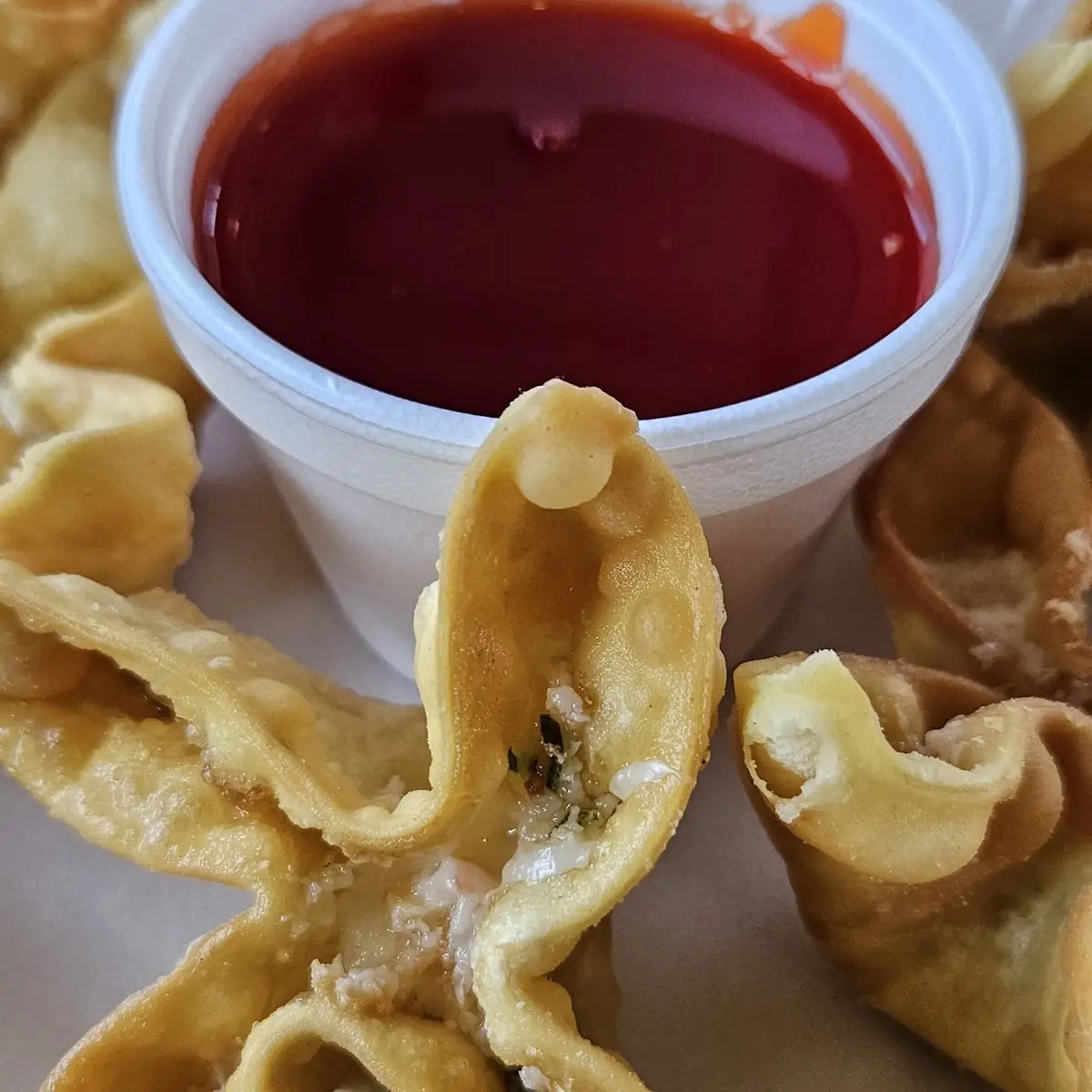 Pork Fried Wonton 6