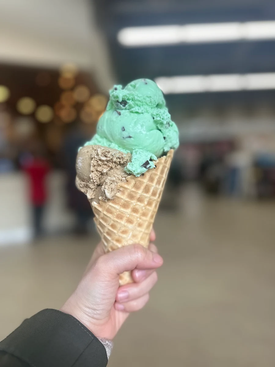Mint Chocolate Chip
