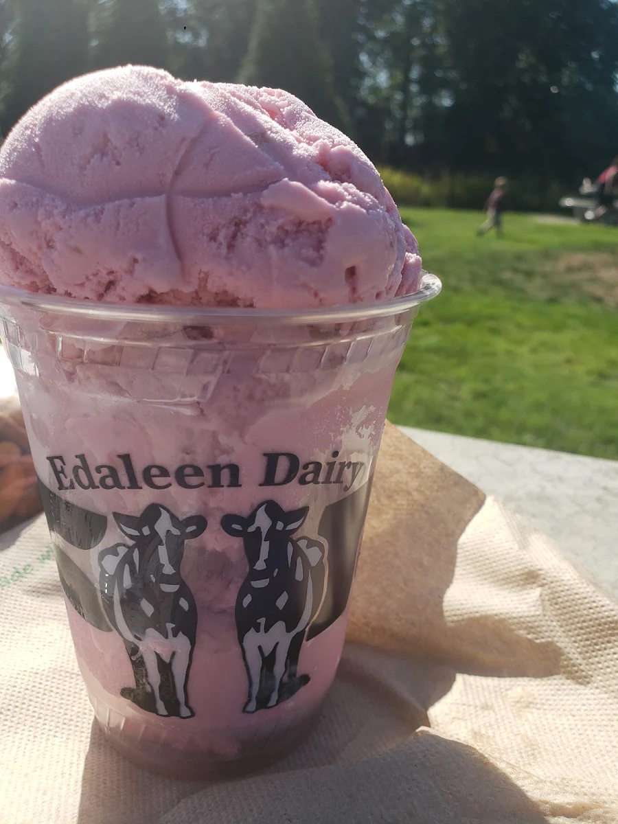 Strawberry Ice Cream