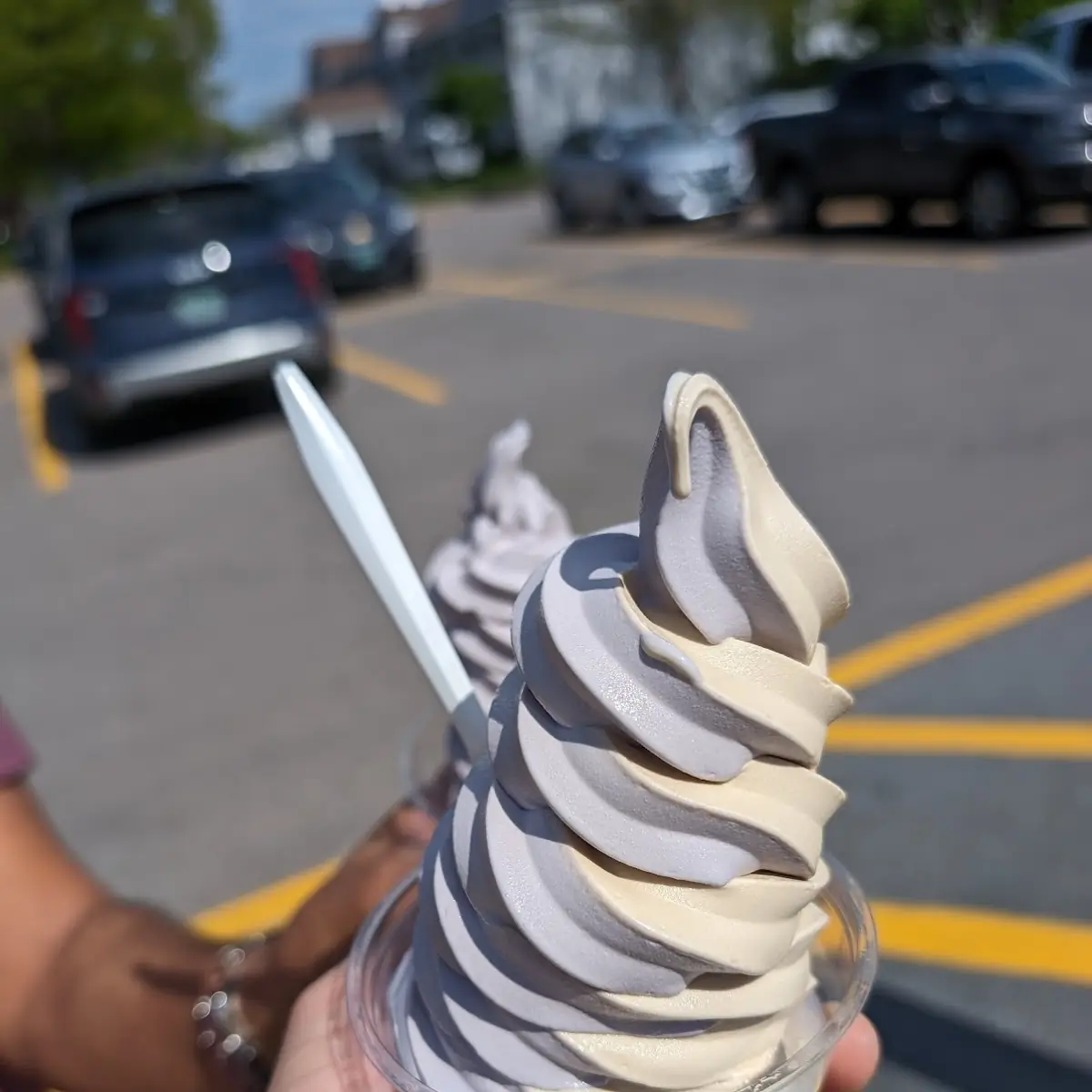 Black Raspberry Maple Madness Creemee