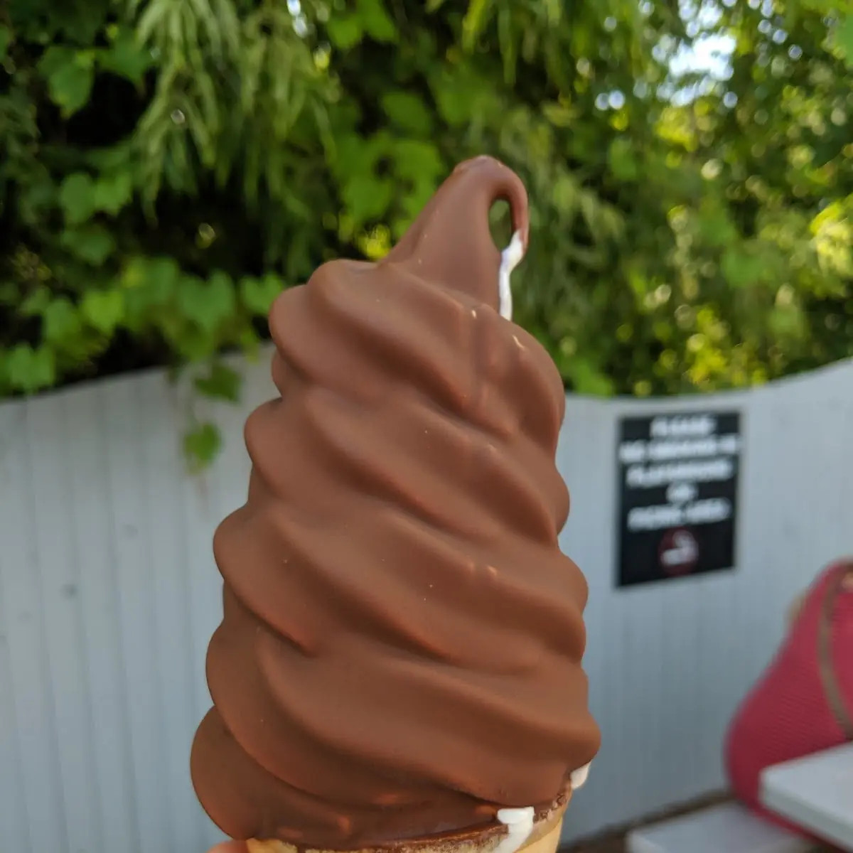 Dipped Black Raspberry Creemee