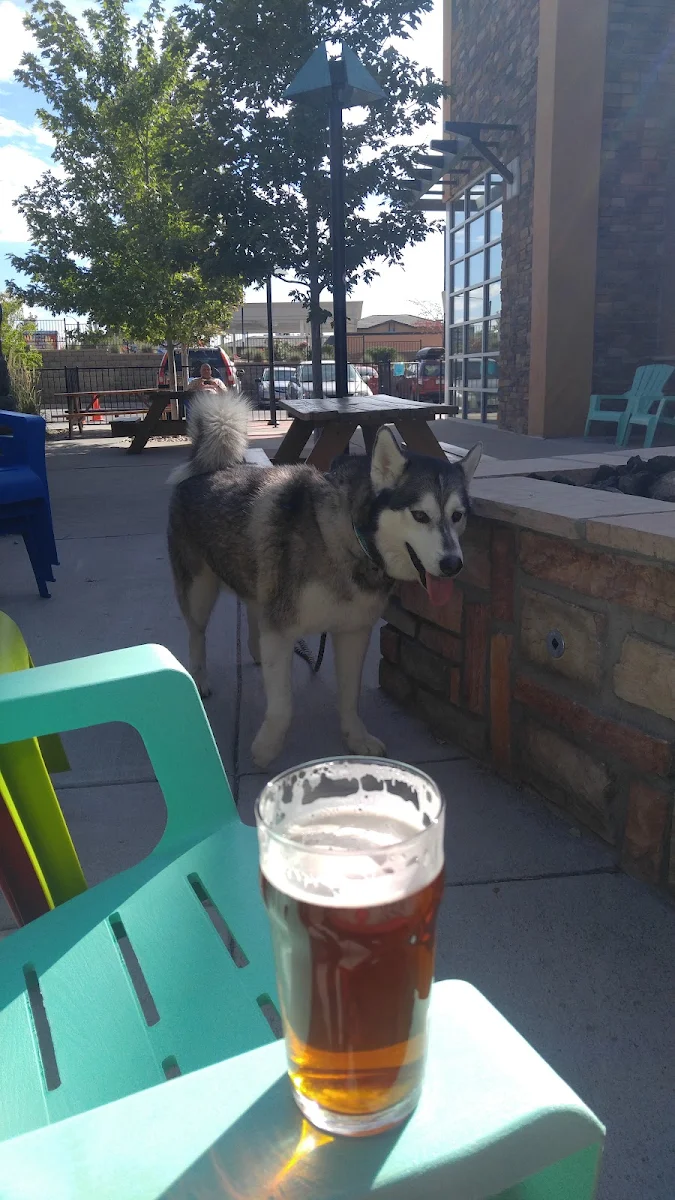 Great Place to Have a Beer