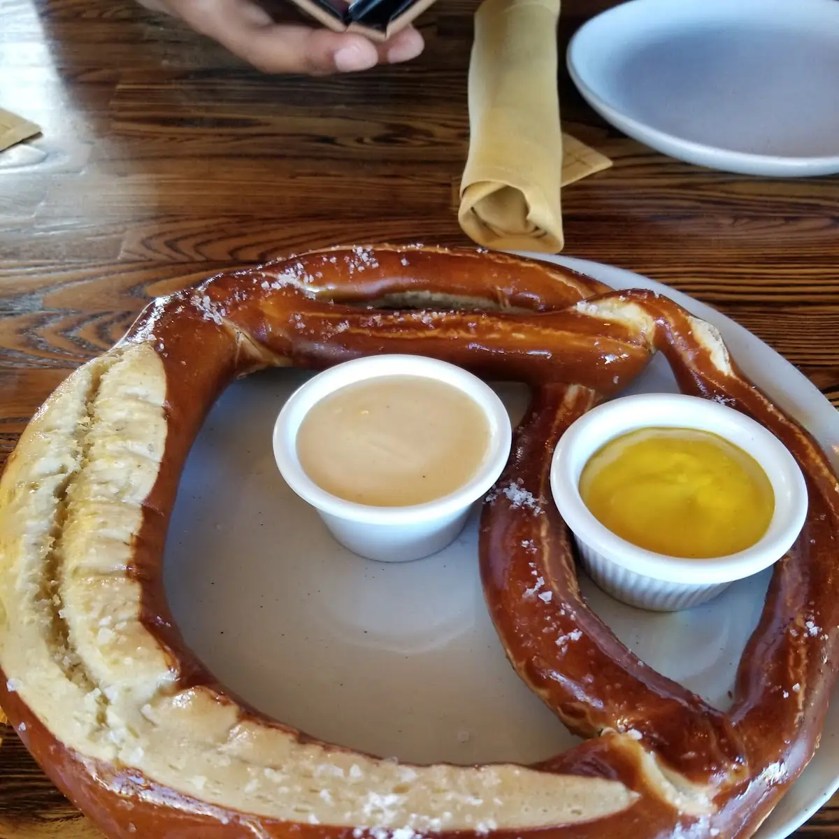 Sourdough Pretzel with Beer Cheese Dip