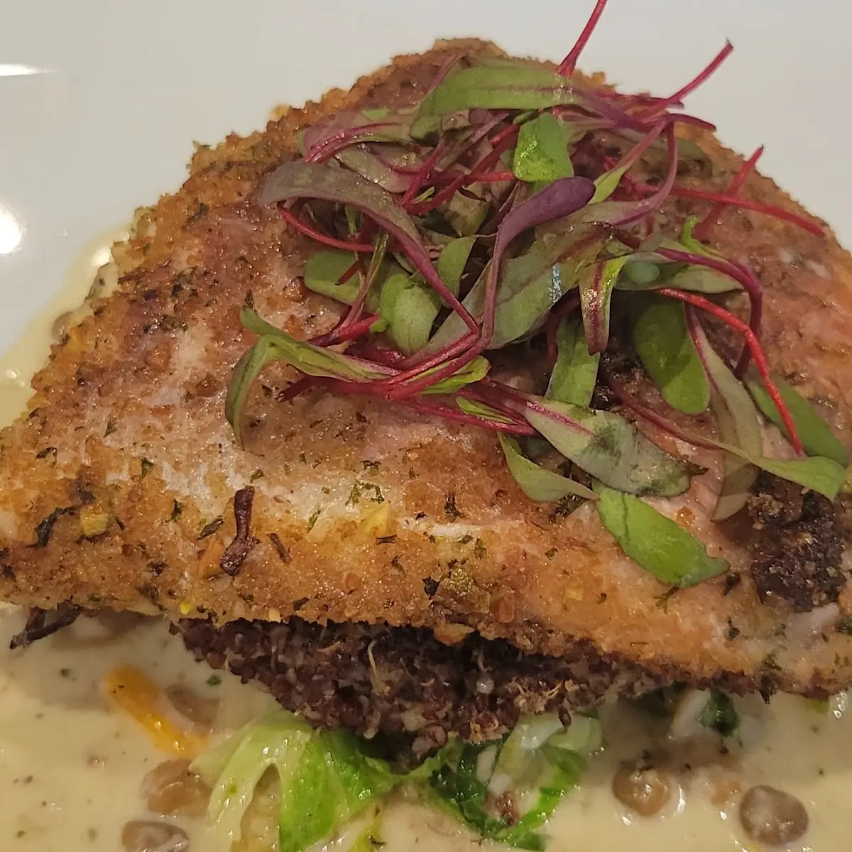 Sea Bass with Quinoa