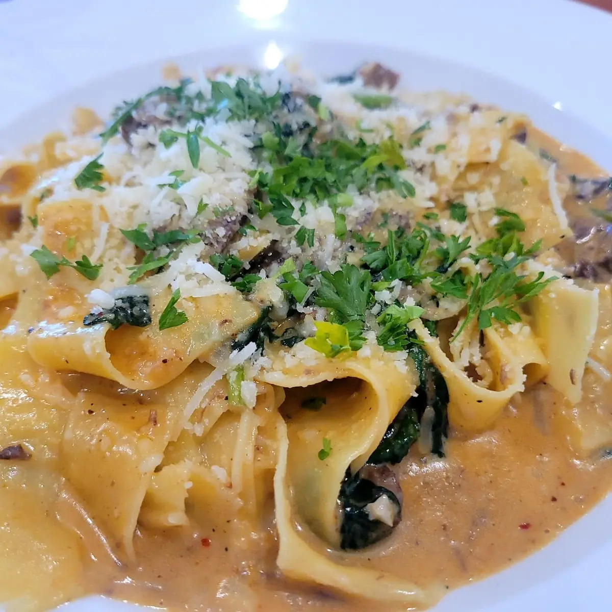Short Rib Pappardelle Pasta