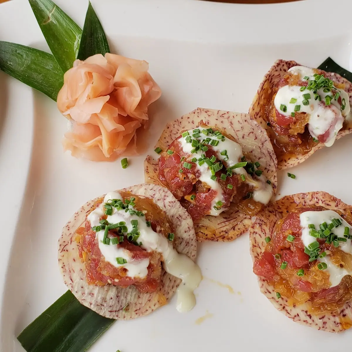 Pan Fried Willapa Bay Oysters App