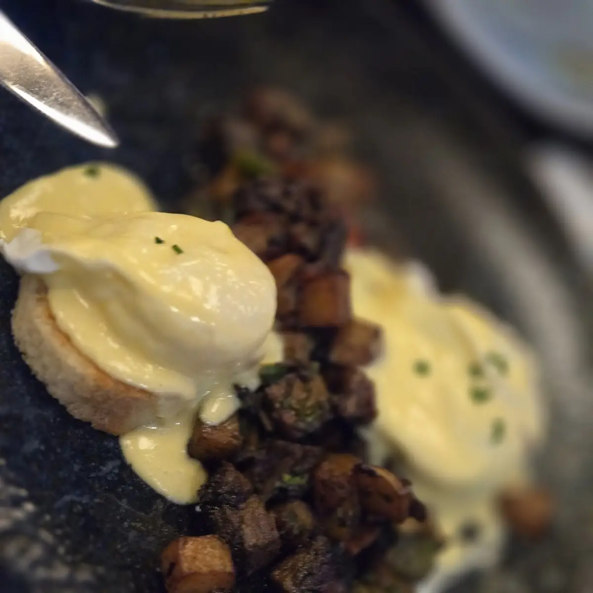 Short Rib Hash