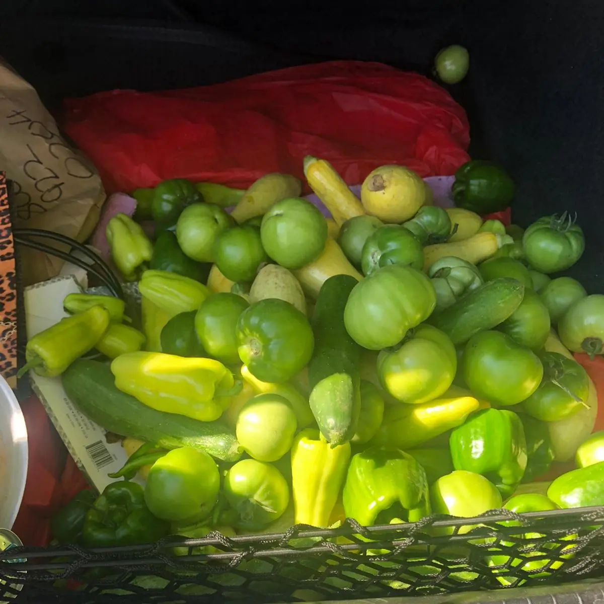 Fresh Garden Vegetables