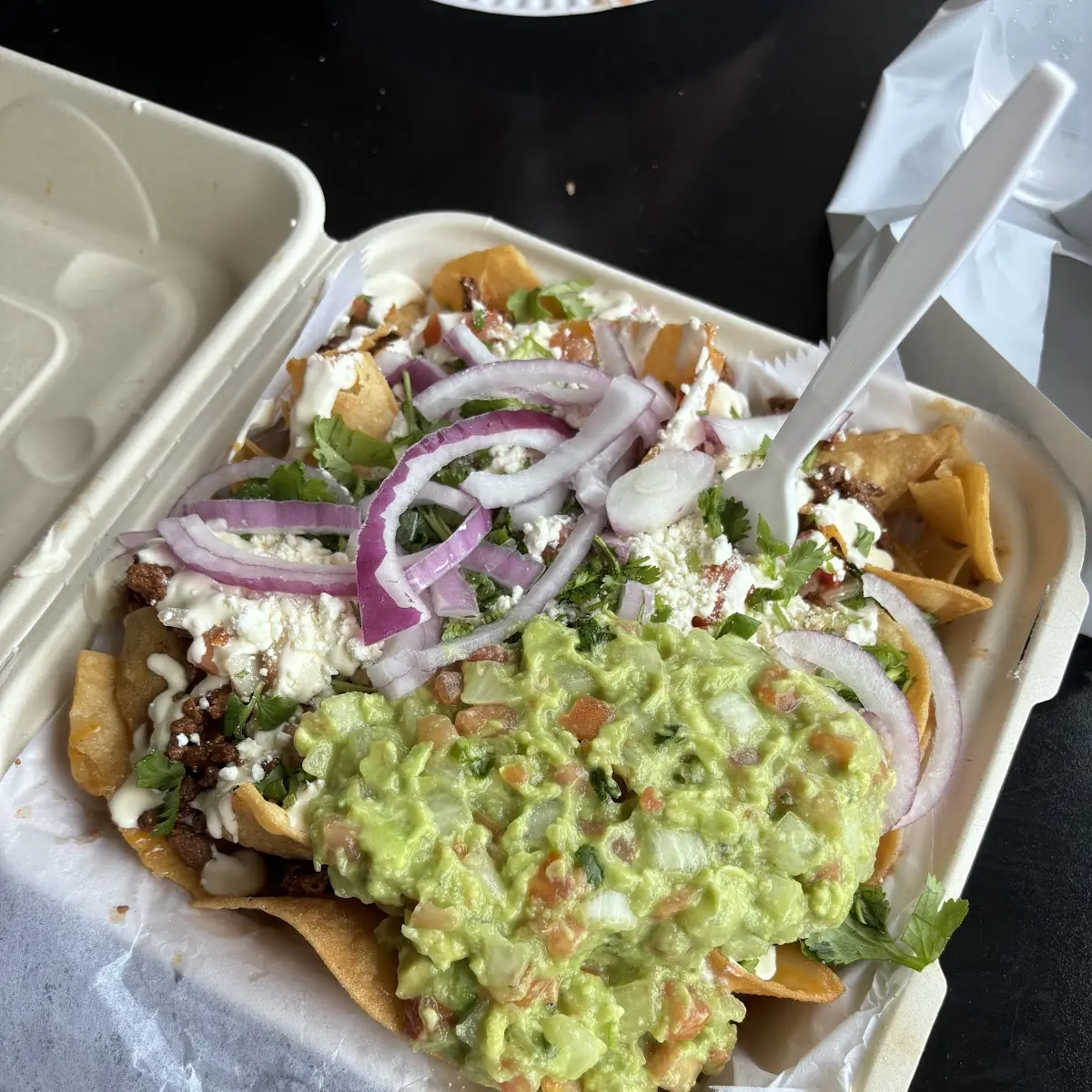 Carne Asada Loaded Fries