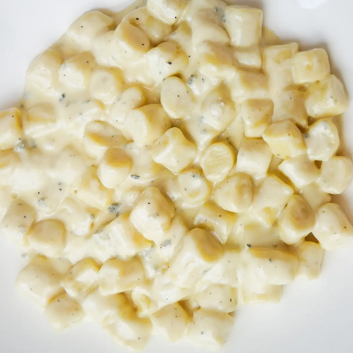 Gnocchi Gorgonzola