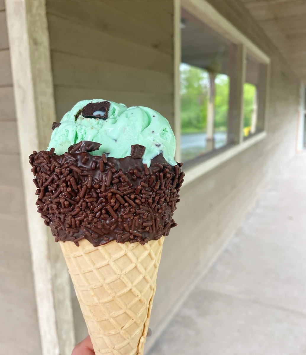 Mint Chocolate Chip