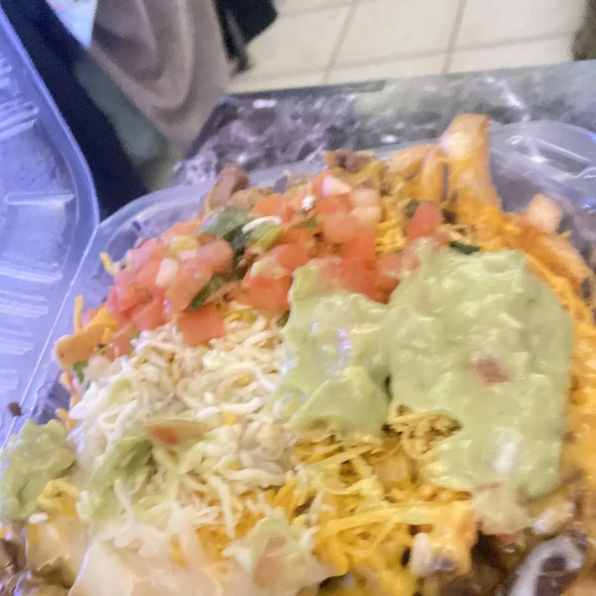 Carne Asada Fries