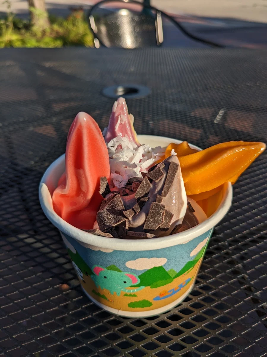 Frozen Yogurt with Toppings