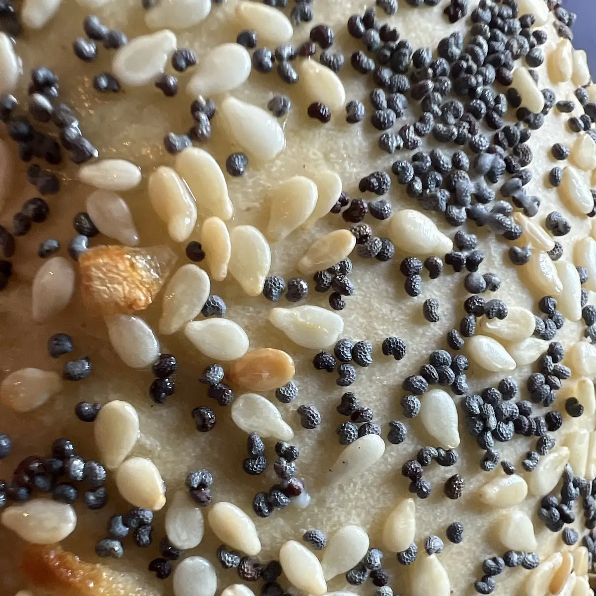 Everything Bagel