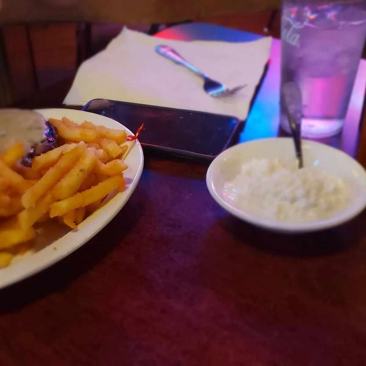 Bison Burger and Fries