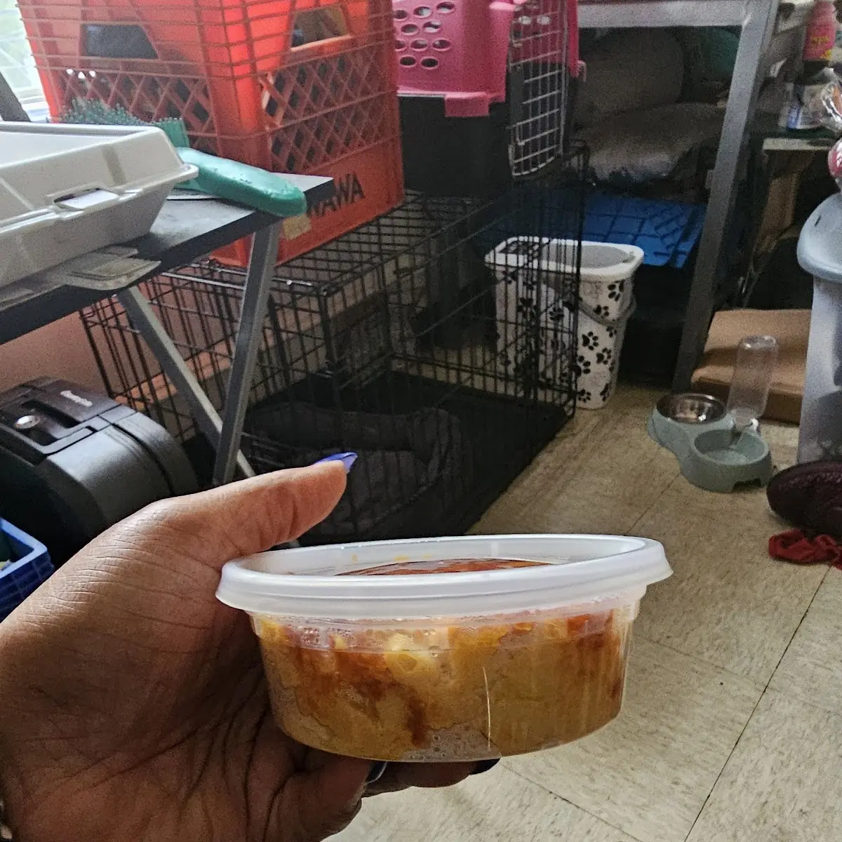 Side of Mac and Cheese