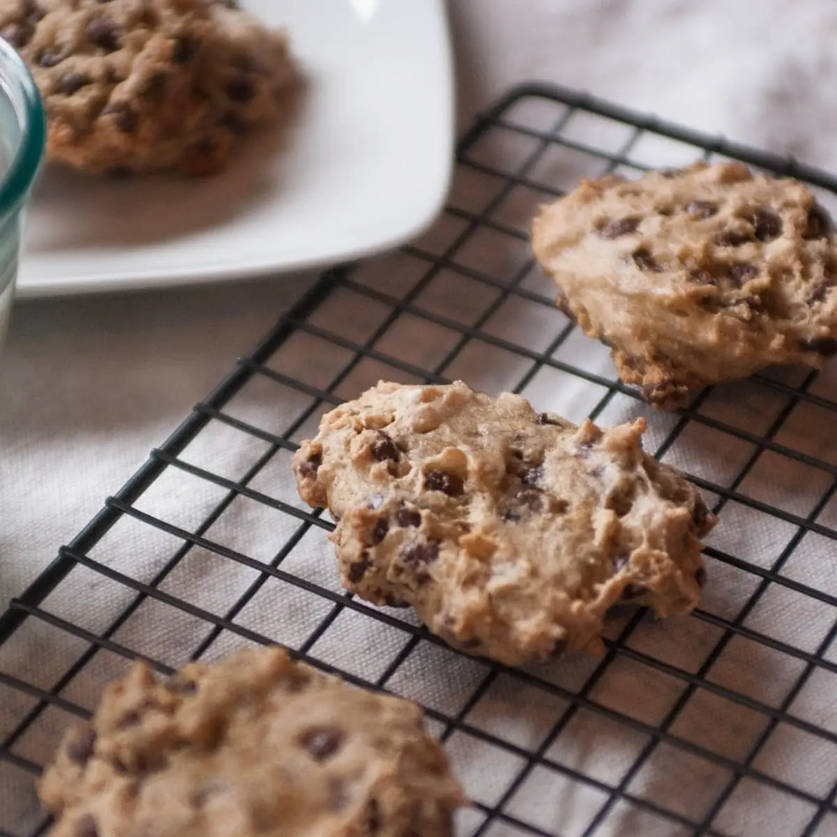 Chocolate Chip Cookie