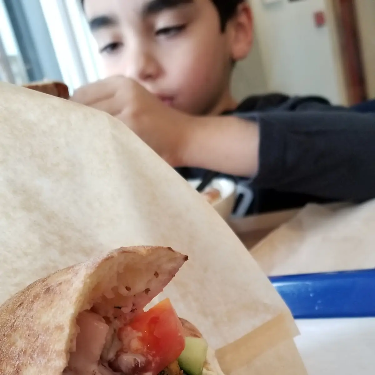 Falafel Sandwich