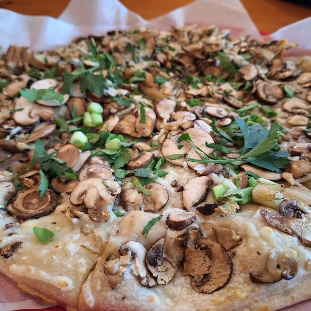 v5 Mushroom Pizza