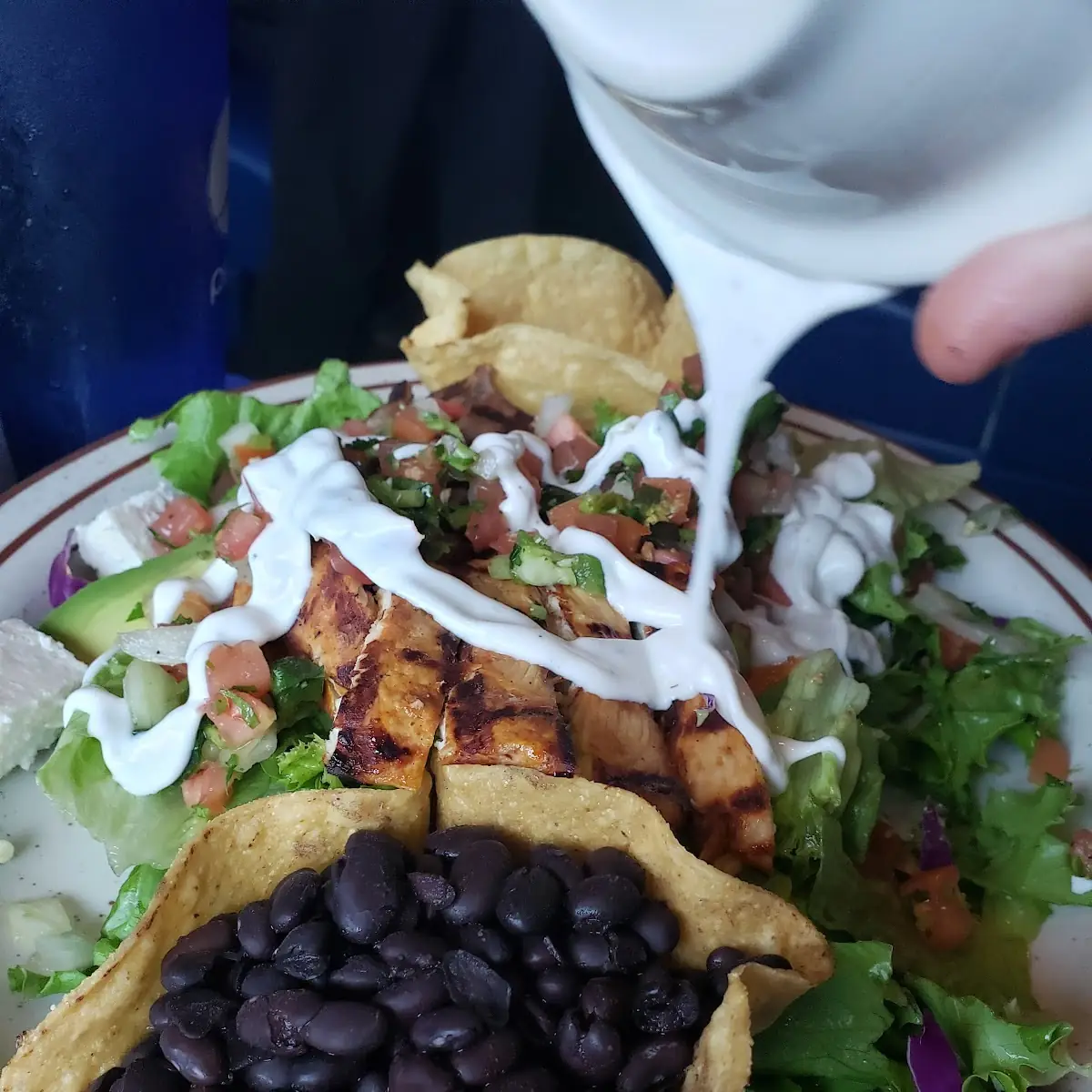 Chicken Salad