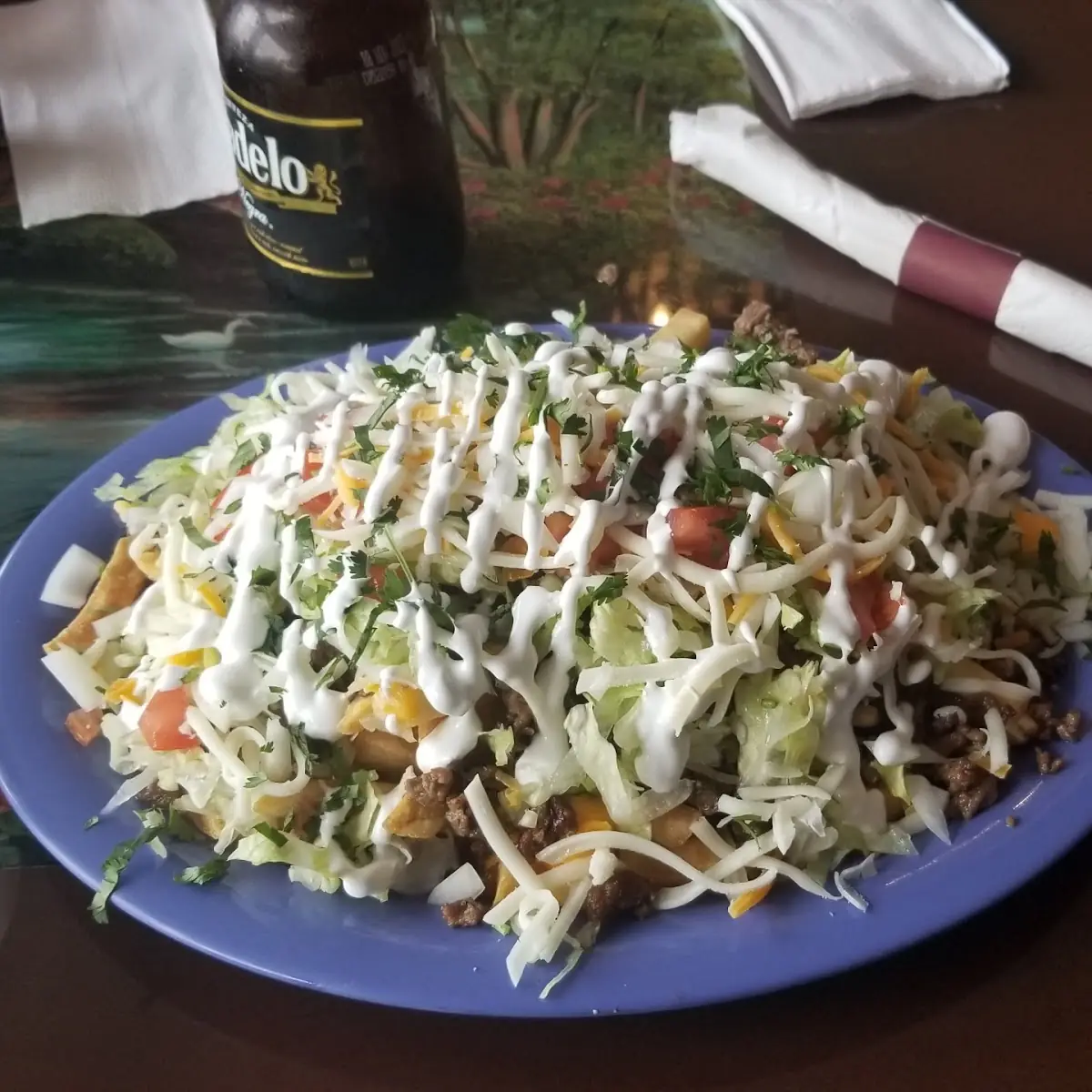 Asada Fries