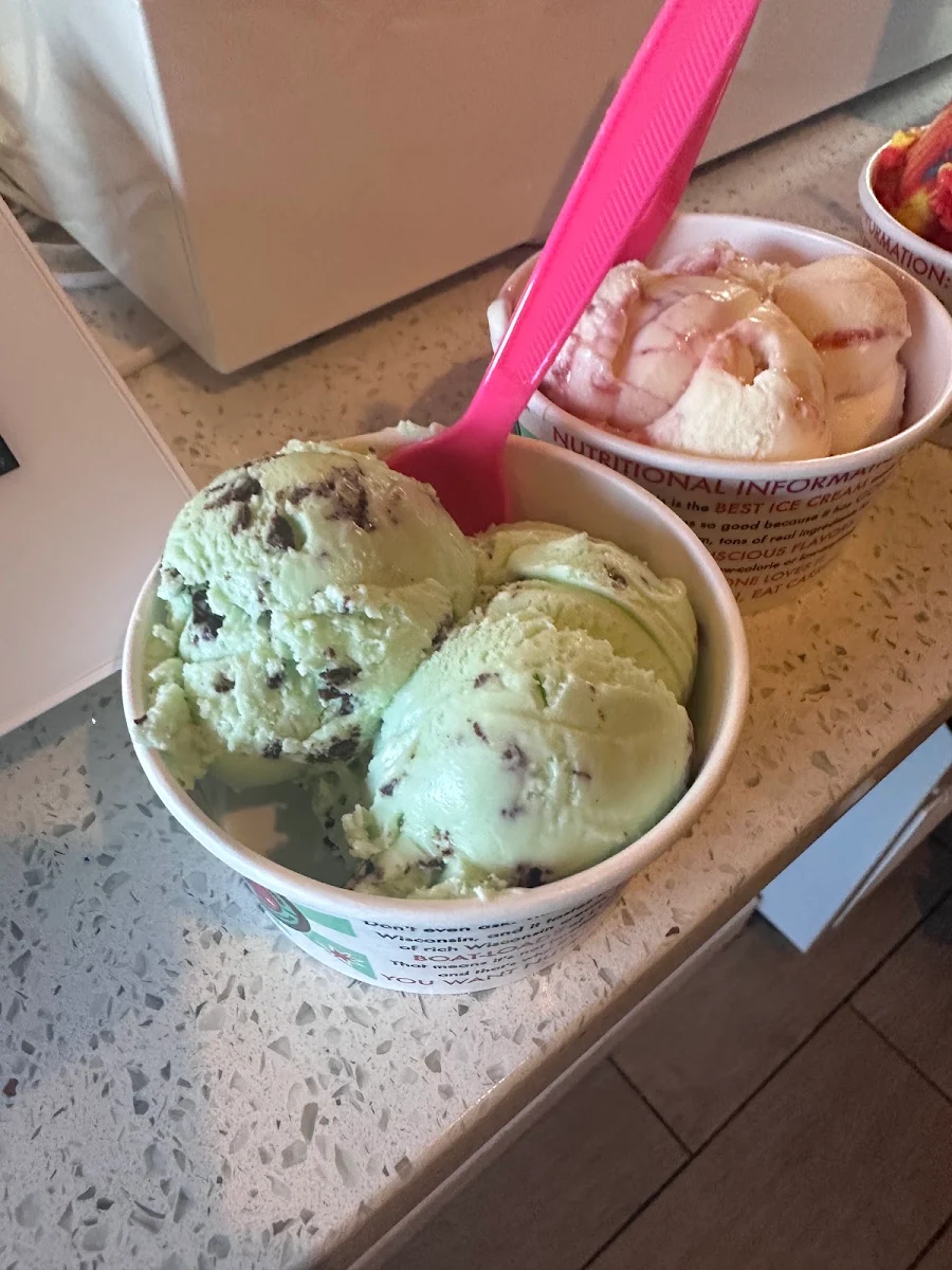 Mint Chocolate Chip