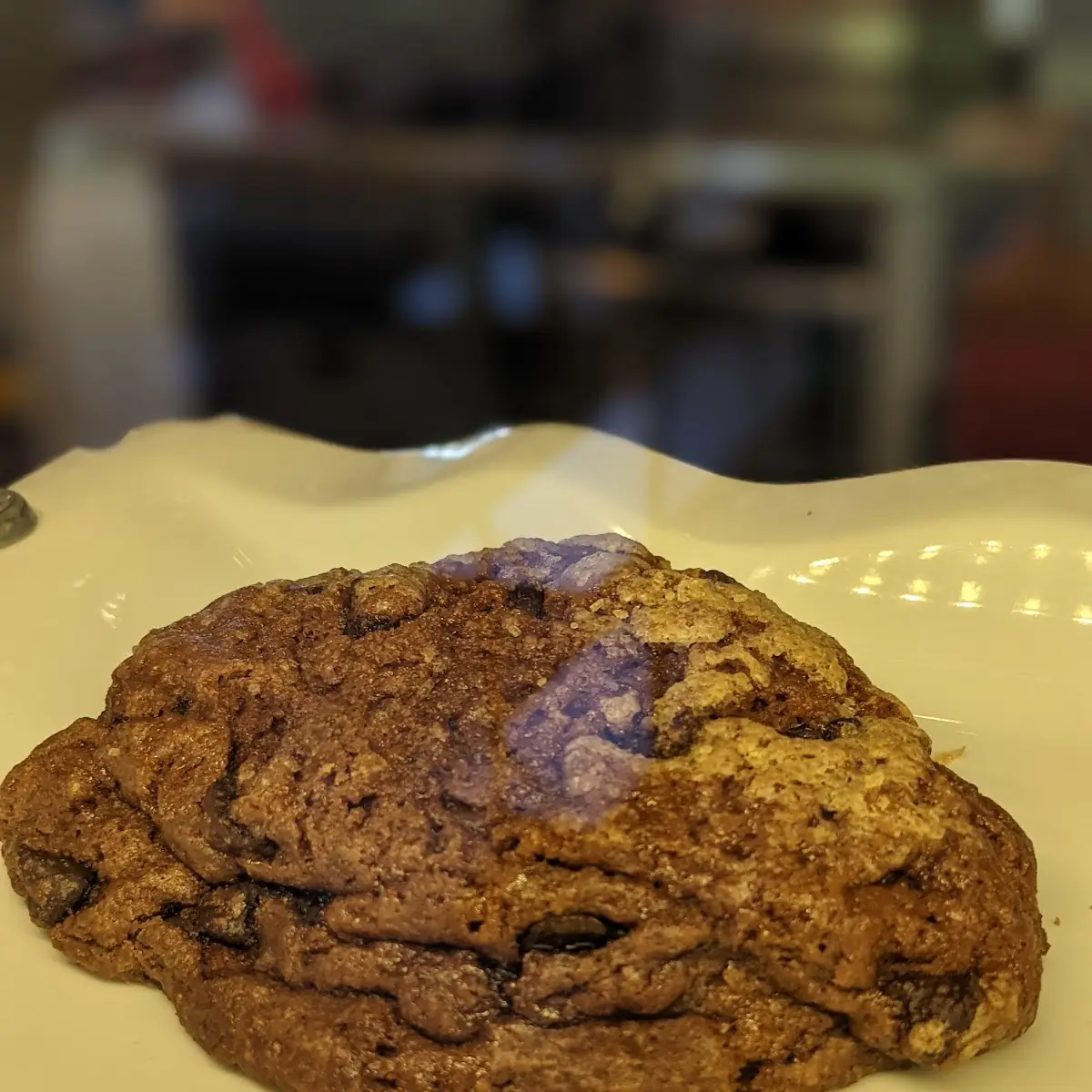 Double Chocolate Chip Scone