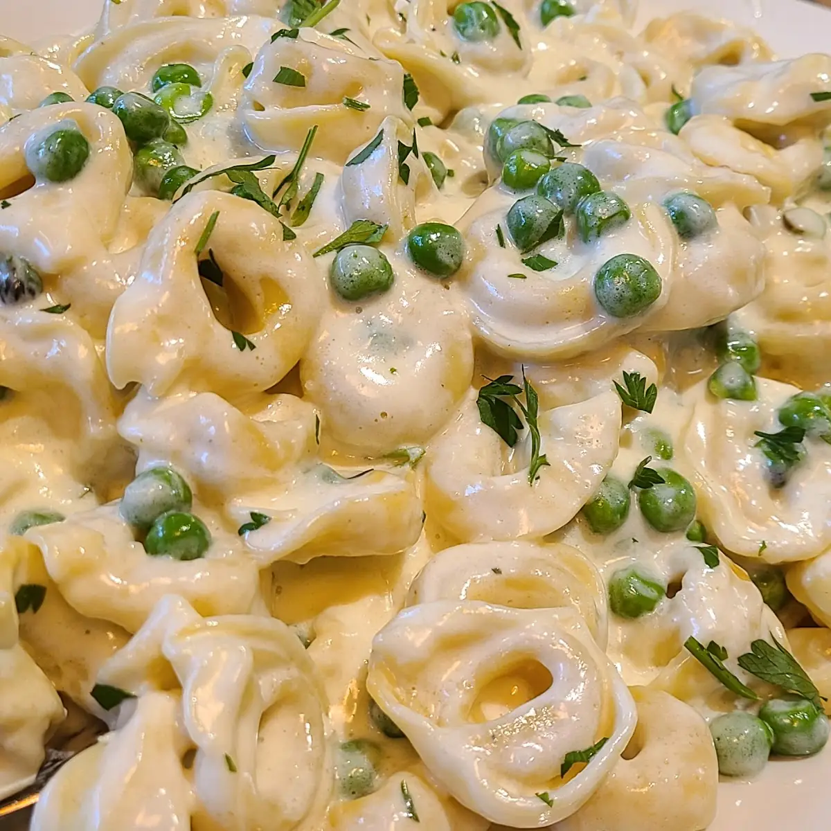 Tortellini Alfredo